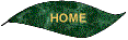 Return to homepage